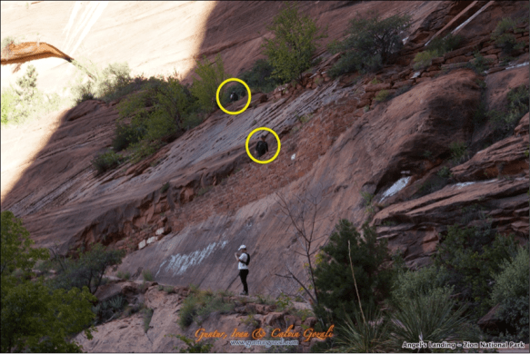 Hiking Angels Landing