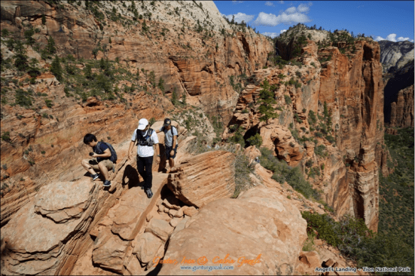 Angels Landing 13