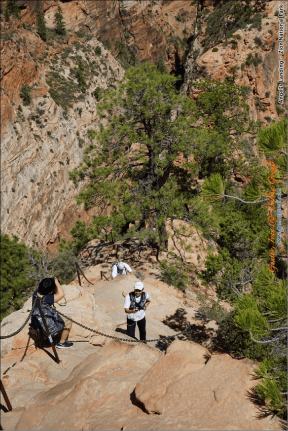 Angels Landing 15