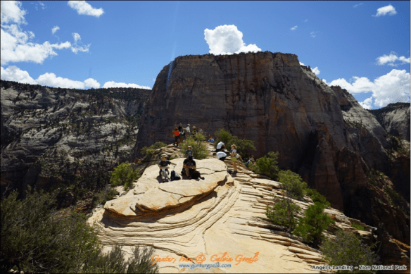 Angels Landing 22