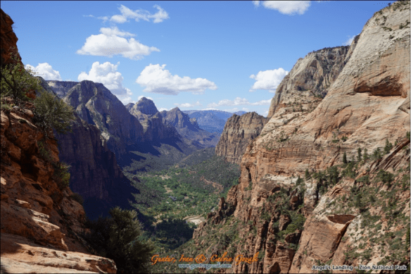 Angels Landing 24