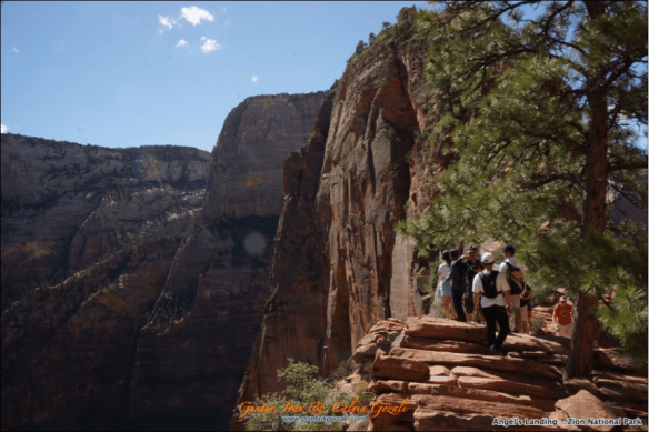 Angels Landing 5