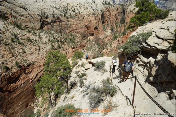 Angels Landing - Going Down 11
