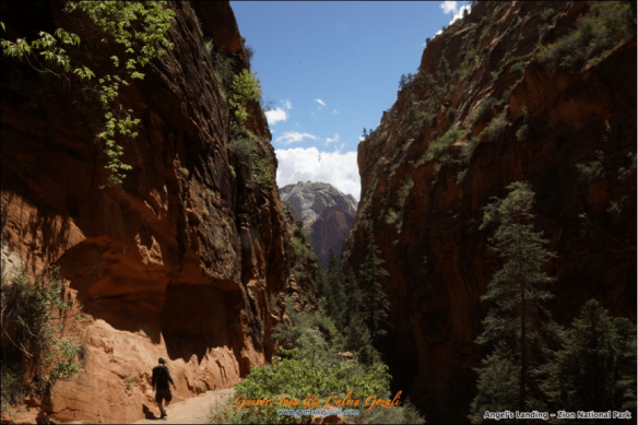 Angels Landing - Going Down 13
