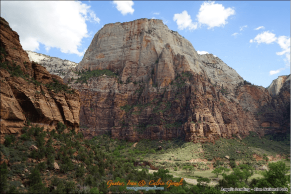 Angels Landing - Going Down 19