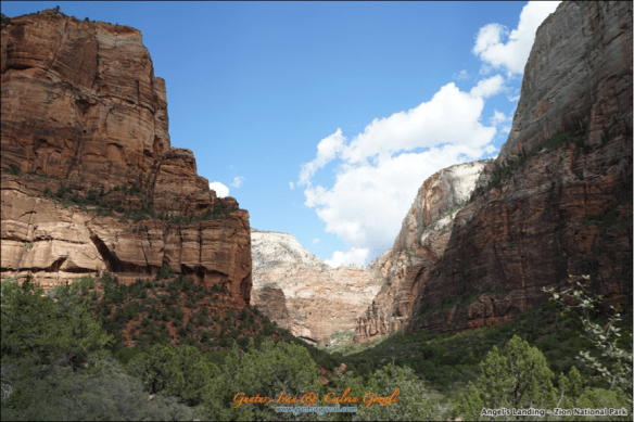 Angels Landing - Going Down 21