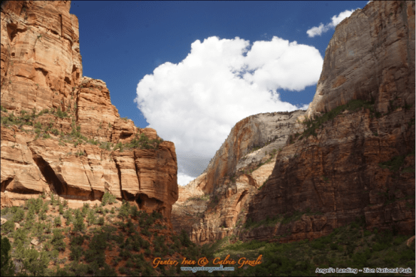 Angels Landing - Going Down 22