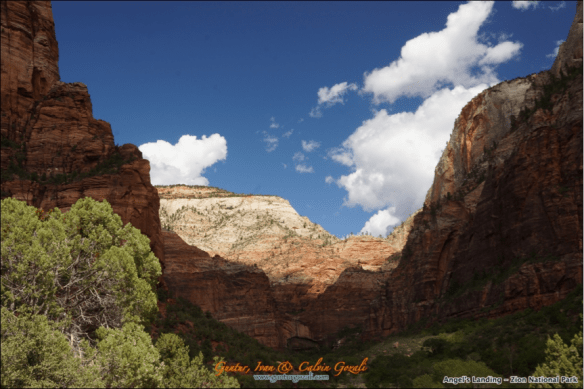 Angels Landing - Going Down 24
