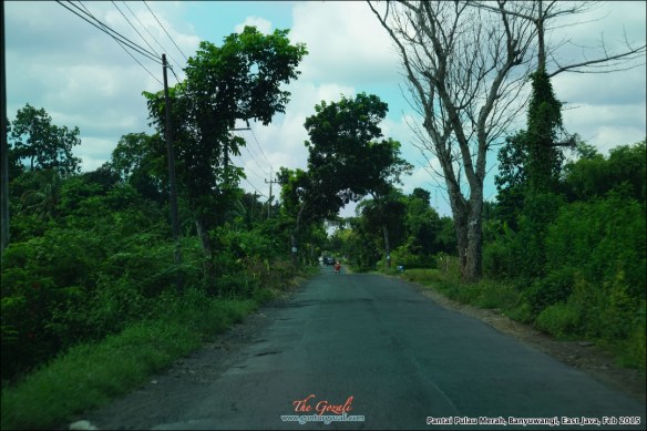 Pantai Pulau Merah 1