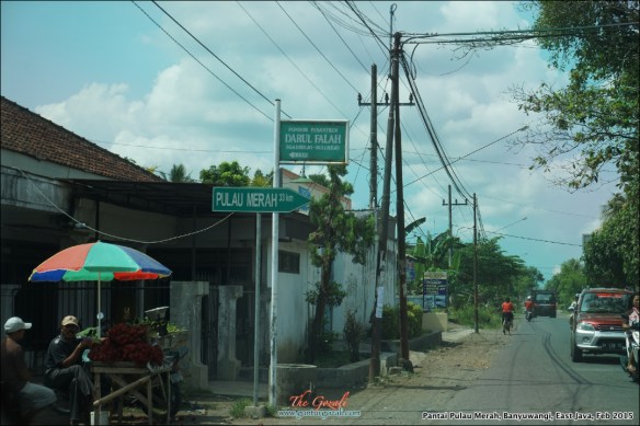 Pantai Pulau Merah 2
