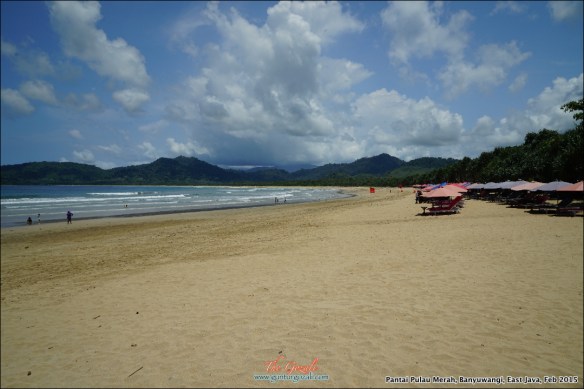 Pantai Pulau Merah 9