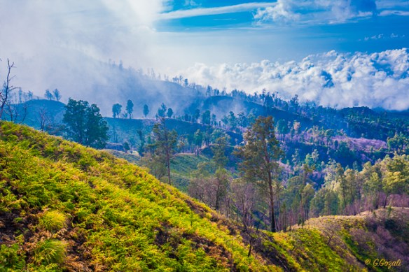 IJEN CRATER_20151224_0053a