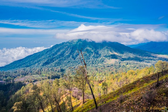 IJEN CRATER_20151224_0055