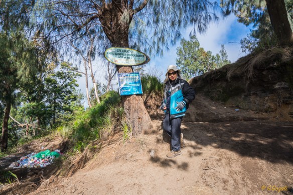 IJEN CRATER_20151224_0061