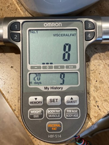 7. VISCERAL FAT