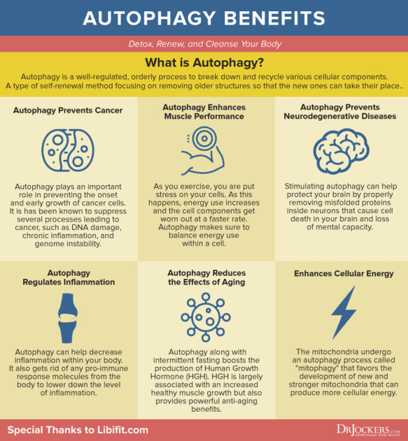 Autophagy Benefits