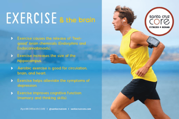 Exercise and Brain