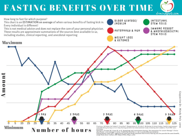Fasting Benefits Over Time