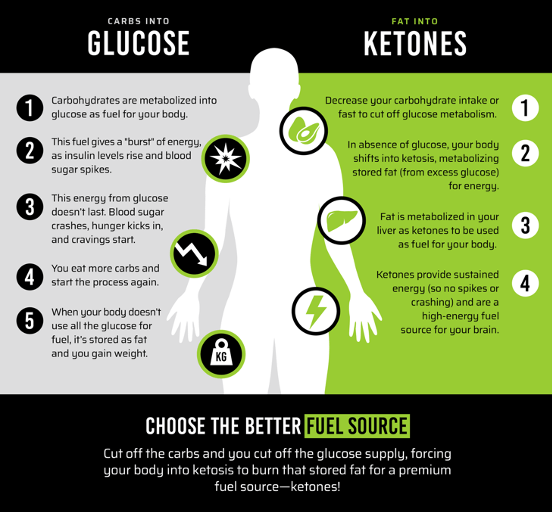 Glucose vs Ketones